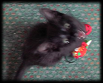 That's right.. lemme see your hands